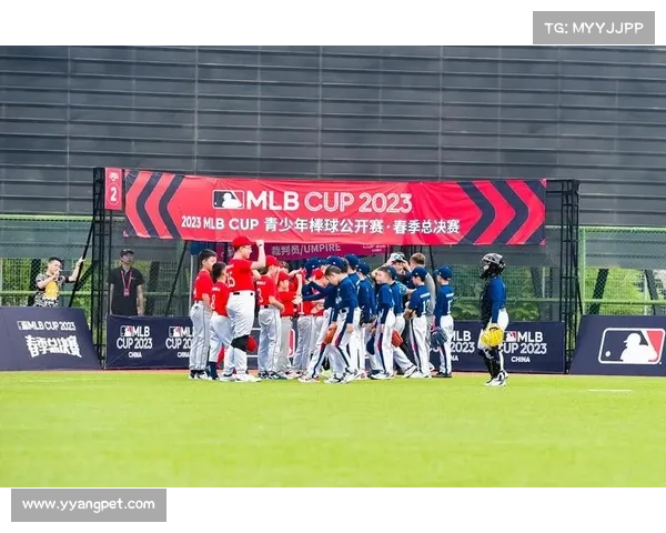 MLB CUP青少年赛制创新 城市赛冠军直通总决赛激发更多年轻选手参与