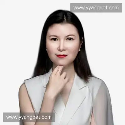 傅语